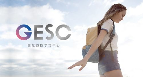 教育機構(gòu)的品牌全案策劃